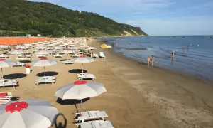 Ampia baia flaminia spiaggia con file di ombrelloni e lettini, bagnanti in acqua e una collina verde sullo sfondo.