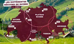 Carte des régions suisses : Suisse romande, Plateau suisse, Grisons, Tessin. Un guide suisse pour découvrir le pays.