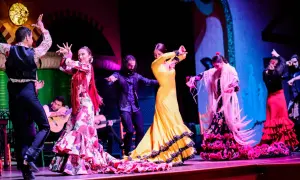 Artistas de flamenco cautivan en Japón con vibrantes trajes y apasionada danza.