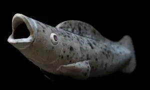 Pesce in ceramica con bocca aperta, occhio sporgente e macchie scure, un'opera che ricorda lo stile di Tonino Negri.