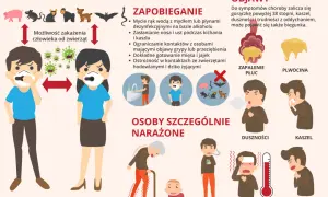 Grafika o pandemii koronawirusa: zapobieganie, objawy, grupy ryzyka. Ilustracje pokazują higienę, dystans, zwierzęta, objawy jak kaszel, gorączka.