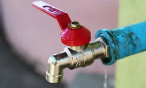 Zawór grzybkowy czy kulowy - który wybór oszczędzi ci problemy?