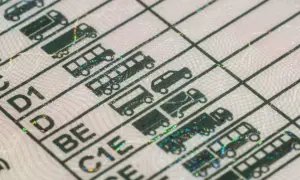 Fragment polskiego prawa jazdy z kategoriami pojazdów, w tym C, D1, D, BE, C1E. Dokument potwierdza uprawnienia do kierowania różnymi pojazdami, co jest kluczowe dla uzyskania prawa jazdy bezterminowe.