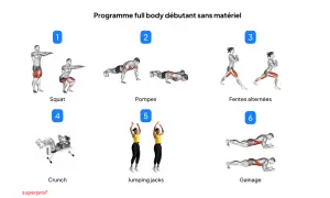 Programme de musculation à la maison pour débutants : squats, pompes, fentes, crunchs, jumping jacks et gainage.
