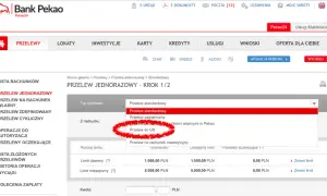 Mandat karny jaki symbol formularza? Uniknij błędów przy płatności