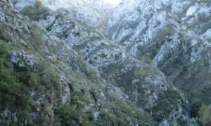 Impresionante vista del desfiladero de los Beyos, con sus escarpadas laderas rocosas cubiertas de vegetación.