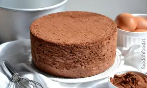 Un soffice pan di spagna al cioccolato, pronto per essere farcito. Accanto, uova fresche e cacao in polvere, ingredienti per un dolce perfetto.