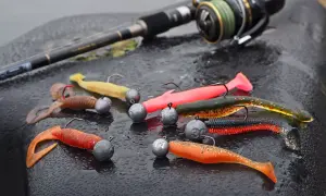 Bunte Gummifische und Bleiköpfe liegen bereit für das Dorsch angeln. Eine Angelrute mit Rolle liegt im Hintergrund.