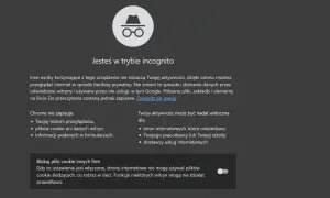 Ikona okularów i kapelusza symbolizuje, że jesteś w trybie incognito. Przeglądaj prywatnie, ale pamiętaj, że Twoja aktywność może być widoczna dla pracodawcy.