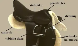 Ile waży siodło? Poznaj różnice w wadze i wpływ na komfort jazdy