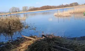 Jezioro Strykowskie: tajemnice, które warto poznać oraz atrakcje