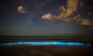 Nocne Malediwy, gdzie morze gwiazd rozświetla fale. Niebo pełne gwiazd i chmur nad spokojnym oceanem.