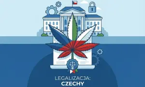 Konopie w Czechach: symbol liścia marihuany z flagą Czech przed budynkiem rządowym. Czy marihuana jest legalna w Czechach?