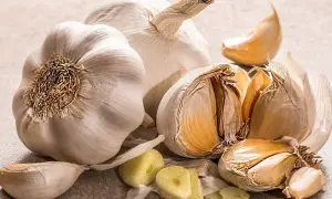 Mehrere Knoblauchzehen und ganze Knoblauchköpfe liegen auf einer hellen Oberfläche. So kann man Knoblauch lagern.