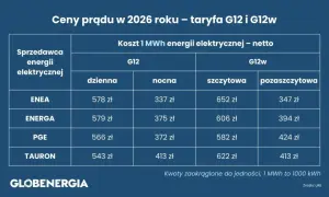 1 kWh prądu 2026: Znamy ceny! Ile zapłacisz i jak oszczędzić?