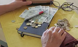 Ręce liczą pieniądze: banknoty 100 zł, monety i notatnik. Widać portfel i okulary. To może być rozliczenie daniny.