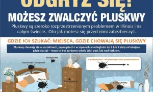 Czy pluskwy przechodzą z mieszkania do mieszkania? Sprawdź, jak się chronić