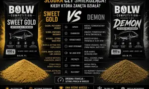 Torba zanęty wędkarskiej BOLW Sweet Gold, słodka i owocowa, idealna na ciepłe dni i aktywne żerowanie.