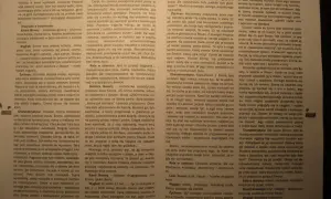 Emma Bovary, bohaterka „Pani Bovary”, pragnęła miłości i luksusu, co doprowadziło ją do romansów i tragedii.