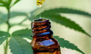 Jaki olej CBD dla psa wybrać, by uniknąć problemów zdrowotnych?