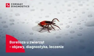 Kleszcz na mokrej powierzchni.