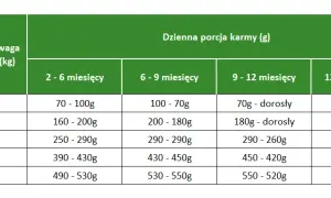 Co mogą jeść szczeniaki? Najlepsze pokarmy dla zdrowego wzrostu