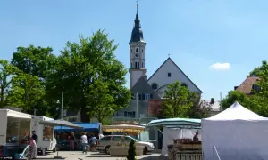 Bunter Markt in Mering mit Kirche im Hintergrund. Stände mit Blumen und Lebensmitteln, Menschen bummeln.