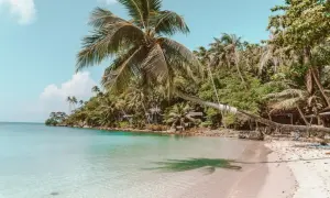 Rajska plaża z palmami i krystalicznie czystą wodą. Zastanawiasz się, ile się leci do Tajlandii, by poczuć taki spokój?