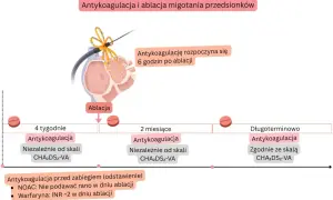 Schemat antykoagulacji po ablacji migotania przedsionków. Nowy lek na migotanie przedsionków jest kluczowy w terapii.
