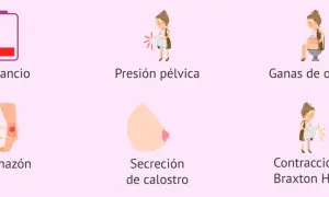 Ilustraciones de síntomas de embarazo: cansancio, presión pélvica, ganas de orinar, hinchazón, secreción de calostro y contracciones.