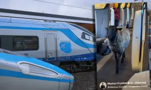 Tczew Pendolino: Wagon 4? Znajdź go bez stresu i biegania po peronie!