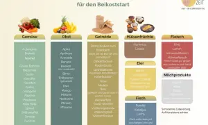 Infografik zur Beikost im Urlaub: Geeignete Lebensmittel wie Gemüse, Obst, Getreide, Hülsenfrüchte, Eier, Fisch, Fleisch und Milchprodukte.