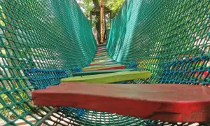 Park Linowy Jankowice: Rodzinna zabawa za 0 zł pod Poznaniem