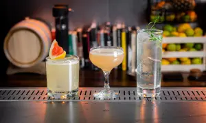 Tre läckra drinkar med gin står uppradade på en bardisk. En med grapefrukt, en i coupeglas och en longdrink med örter.