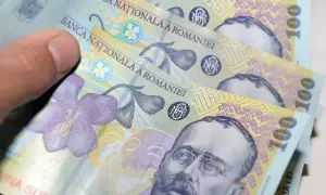 Dłoń trzyma banknoty 100 lei, rumuńska waluta. Na banknotach widnieje portret mężczyzny i kwiat.