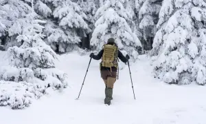 Osoba z plecakiem i kijkami przemierza zaśnieżony las. Warto znać abc lawinowe, by bezpiecznie wędrować zimą.