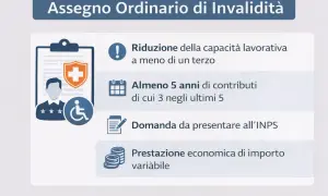 Assegno Ordinario di Invalidità: requisiti per l'INPS, riduzione capacità lavorativa, contributi e domanda. Utile per chi necessita di un aggravamento invalidità.