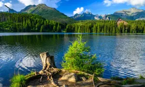 Jezioro otoczone lasem i górami, przypomina o tym, ile jest parków narodowych.