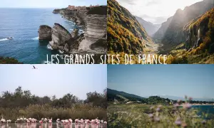 Quatre scènes magnifiques : falaises corses, vallée alpine, flamants roses, et paysage côtier. Ces images illustrent les plus beaux endroits de France.
