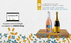 Vino rosa frizzante e spumante giallo, perfetti per la sete al sole. Scopri se il tuo pinot grigio è fermo o frizzante su VINOSO.Shop.