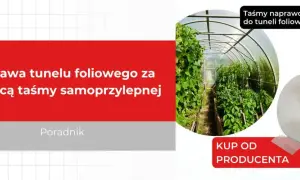 Naprawa folii tunelu: Jak skutecznie załatać dziurę?