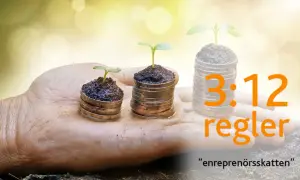 En hand håller tre myntstaplar med växande plantor. Texten "3:12 regler" och "entreprenörsskatten" antyder en berättelse om företagande.
