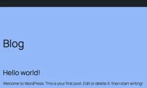 Pantalla de WordPress con título "Test", post "Blog" y "Hello world!". Ideal para empezar a crear plugin WordPress.