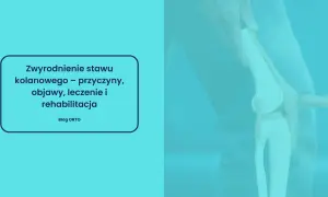 Model stawu kolanowego z tekstem o zwyrodnieniu.
