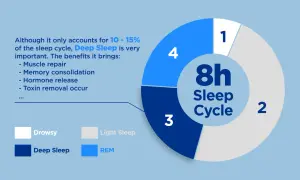 Deep Sleep is vital for muscle repair & memory. The image shows an 8h sleep cycle, with deep sleep being 10-15%.