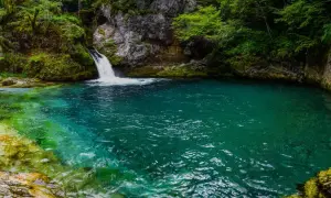 Le "Blue Eye" d'Albanie, une source d'eau cristalline aux nuances turquoise et émeraude, se jette dans un bassin naturel entouré de verdure luxuriante.