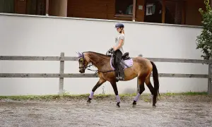 Młoda amazonka na kasztanowatym koniu w fioletowych ochraniaczach. Trening przed zawodami, gdzie liczy się jeździectwo, terminarz i wyniki.