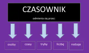 Diagram wyjaśnia, jak odmienia się czasownik: przez osoby, czasy, tryby, liczbę i rodzaje.