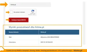 Jak sprawdzić, gdzie zarejestrowana jest domena? WHOIS i RODO
