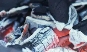 Pyszna sałatka na grilla przepis, która zaskoczy Twoich gości